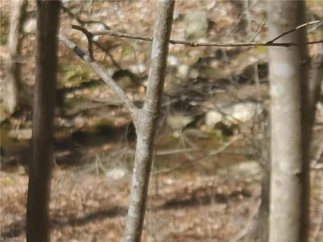 $194,900 | 1969 Mulberry Academy Street, Franklinville, NC 27248