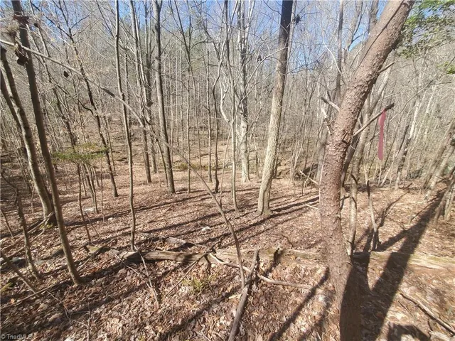 $194,900 | 1969 Mulberry Academy Street, Franklinville, NC 27248