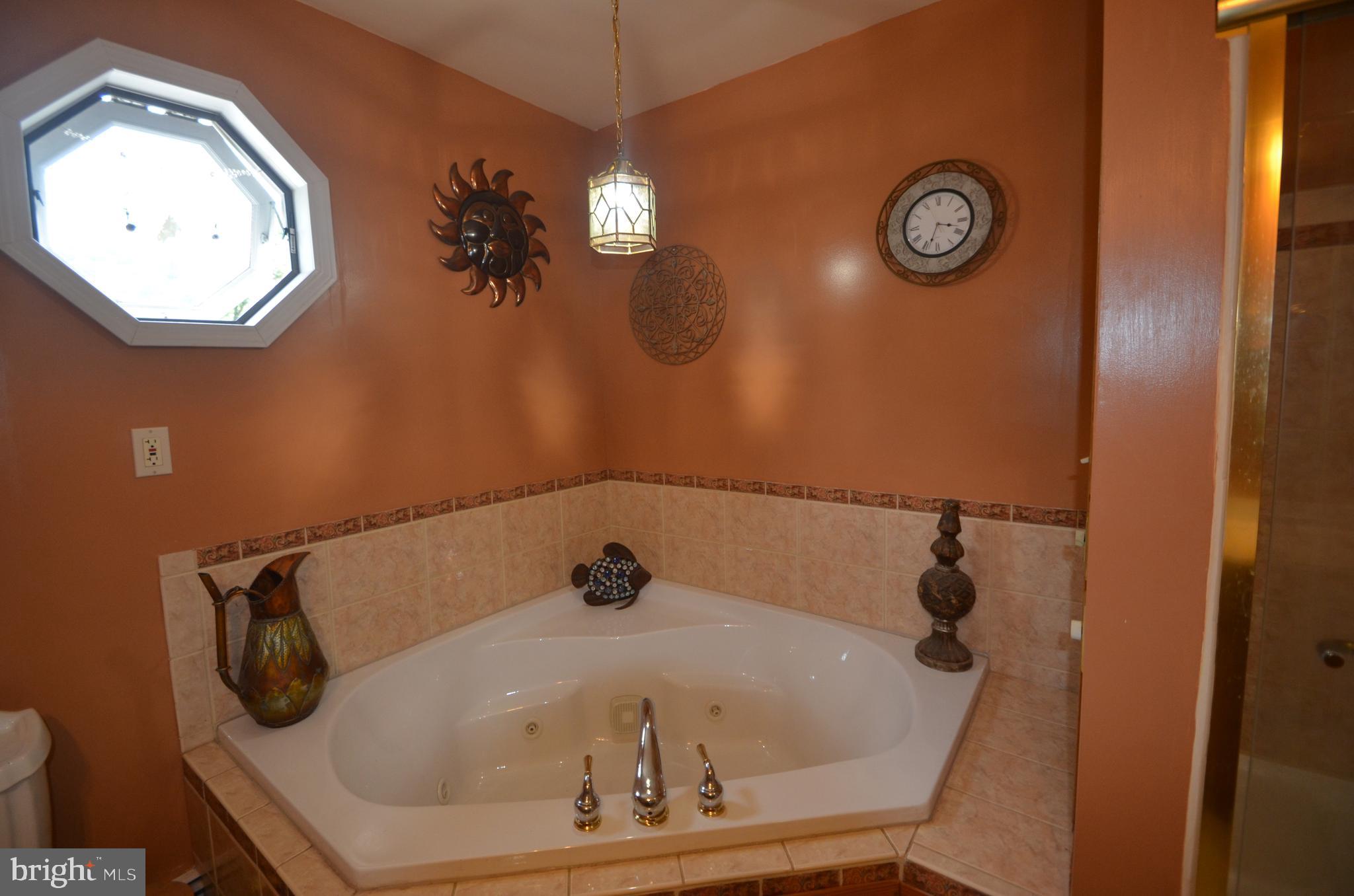 1118 Kepler Road Pottstown, PA 19464 - Photo 34 of 47 Master Bath