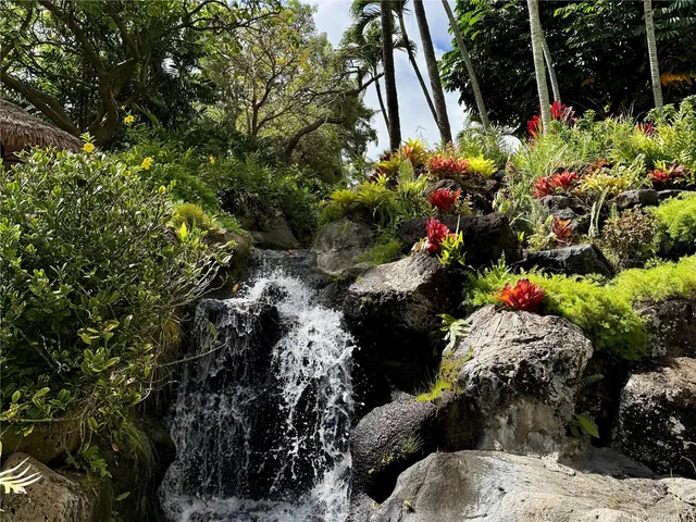 a view of a flower in a yard