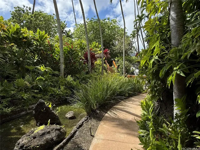 a plant that is in the garden