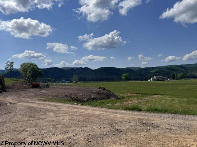 Tbd Shaffers Run Road Mill Creek, WV 26280 - Photo 30 of 43 Gallery Image 30
