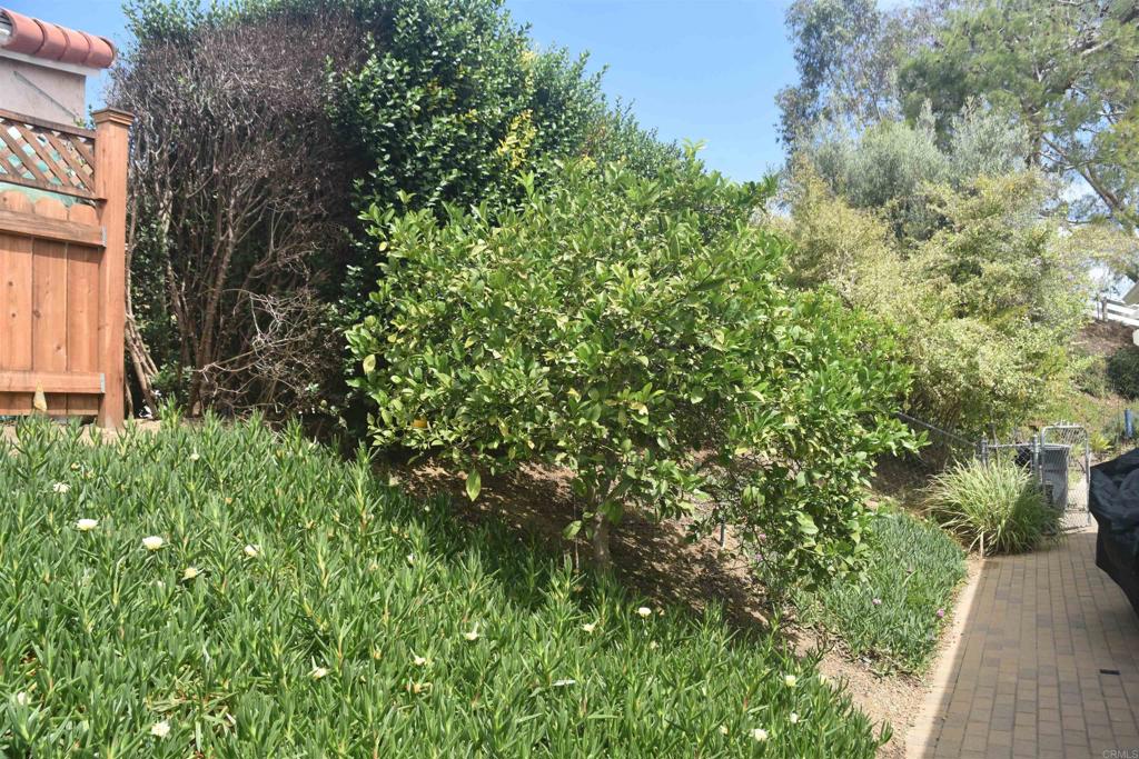 5436 Fairgreen Way Bonsall, CA 92003 - Photo 31 of 35