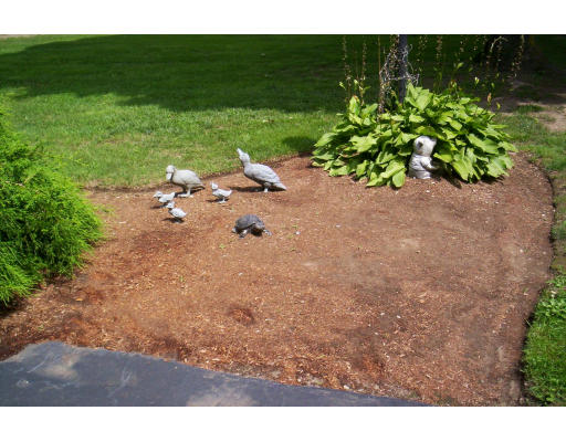 1049 Bay Road Sharon, MA 02067 - Photo 10 of 16 Gallery Image 10