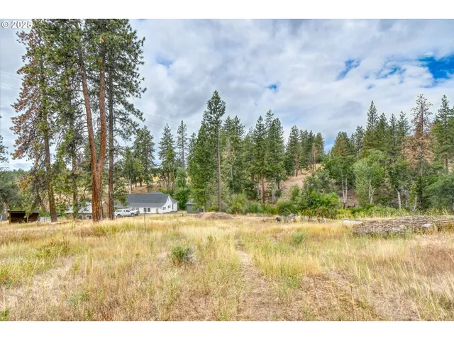 a view of a yard with a tree