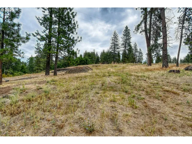 a view of outdoor space with trees