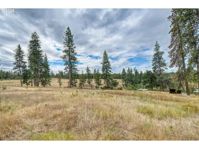 a view of a yard and trees