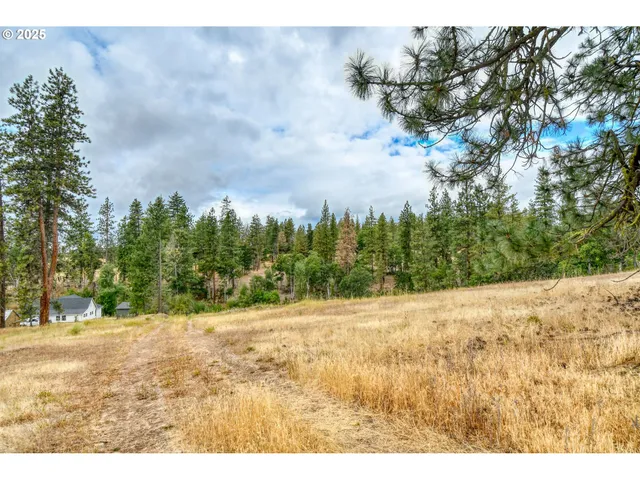 a view of a yard with a house