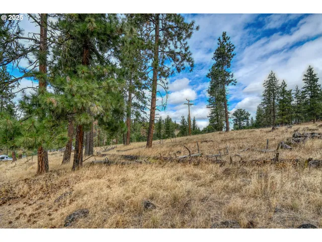 a view of outdoor space and yard