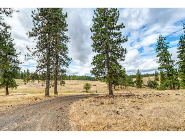 a view of an outdoor space