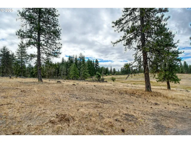 a view of outdoor space with city view