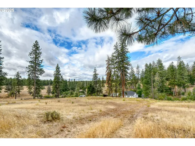 a view of outdoor space with trees