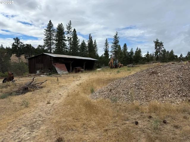 a view of a backyard with plants and large trees
