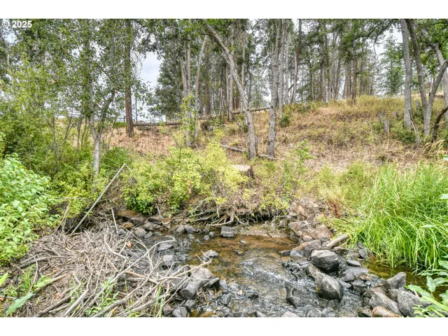 a view of a large yard with lots of green space
