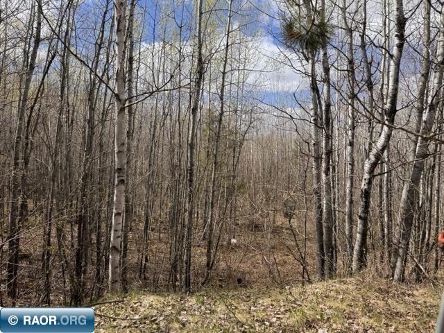 3333 Randa Road Buyck, MN 55771 - Photo 20 of 23