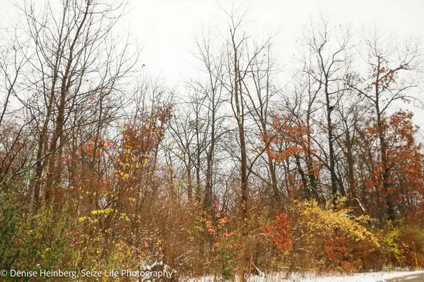$83,900 | 806 Echo (lot 22) Trail, Marengo, IL 60152