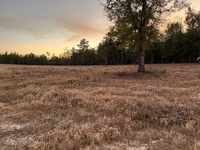 0 Lost Forty Road Andalusia, AL 36420 - Photo 3 of 7 Gallery Image 3