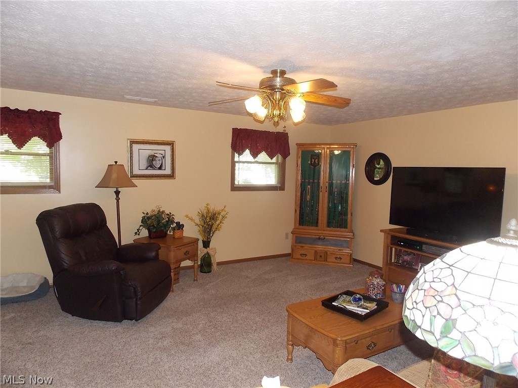 9710 Akron Road Rittman, OH 44270 - Photo 10 of 32 Gallery Image 10