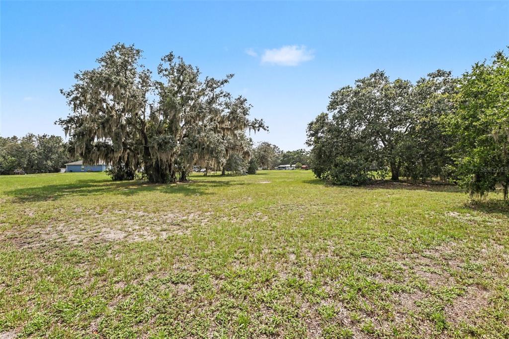 3149 Sydney Dover Road Dover, FL 33527 - Photo 19 of 22