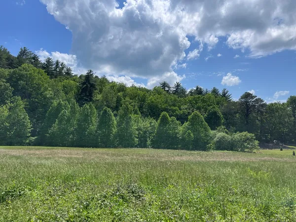 a view of outdoor space and yard