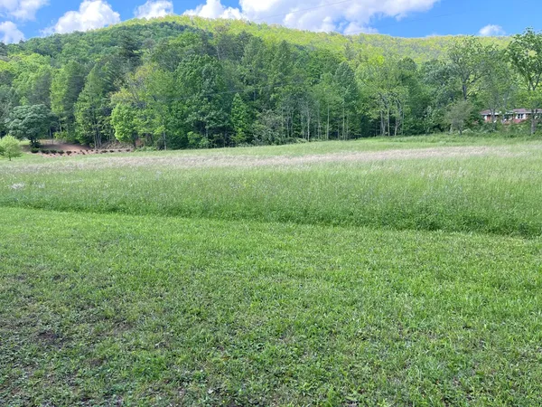 a view of a field with trees in the background