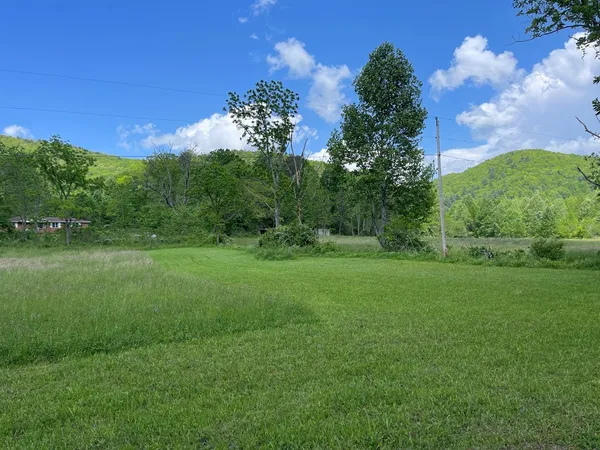 a view of a lush green space