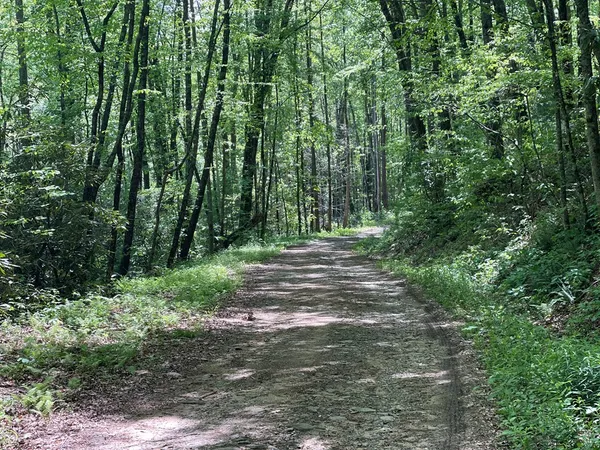 a view of outdoor space and green space