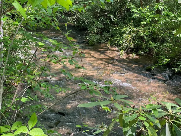 a backyard of a house