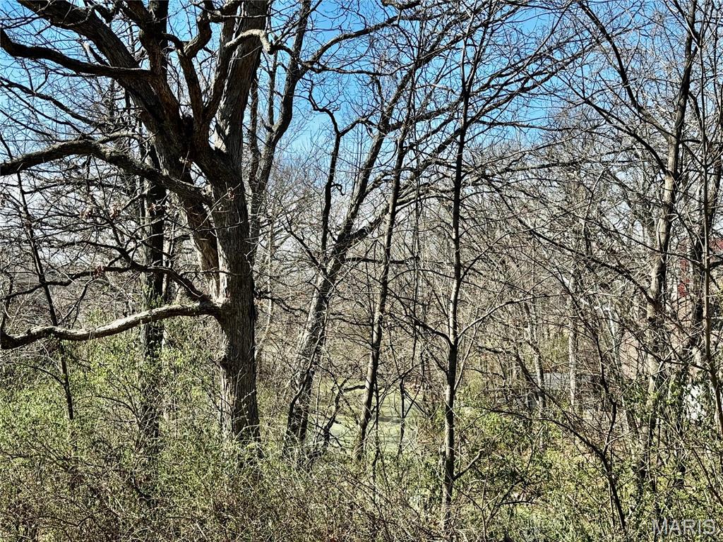 16349 Justus Post Road Chesterfield, MO 63017 - Photo 21 of 27