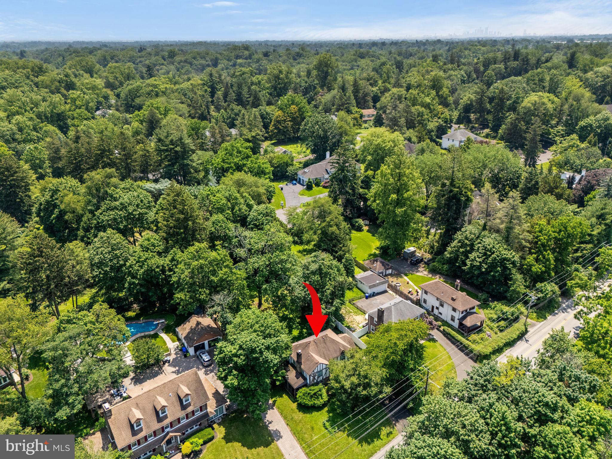 213 Rices Mill Road Wyncote, PA 19095 - Photo 39 of 40 Aerial view
