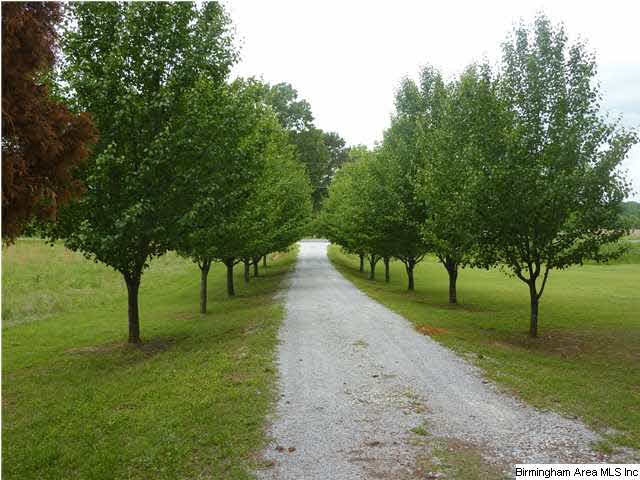 1855 Smokey Road Alabaster, AL 35007 - Photo 32 of 32
