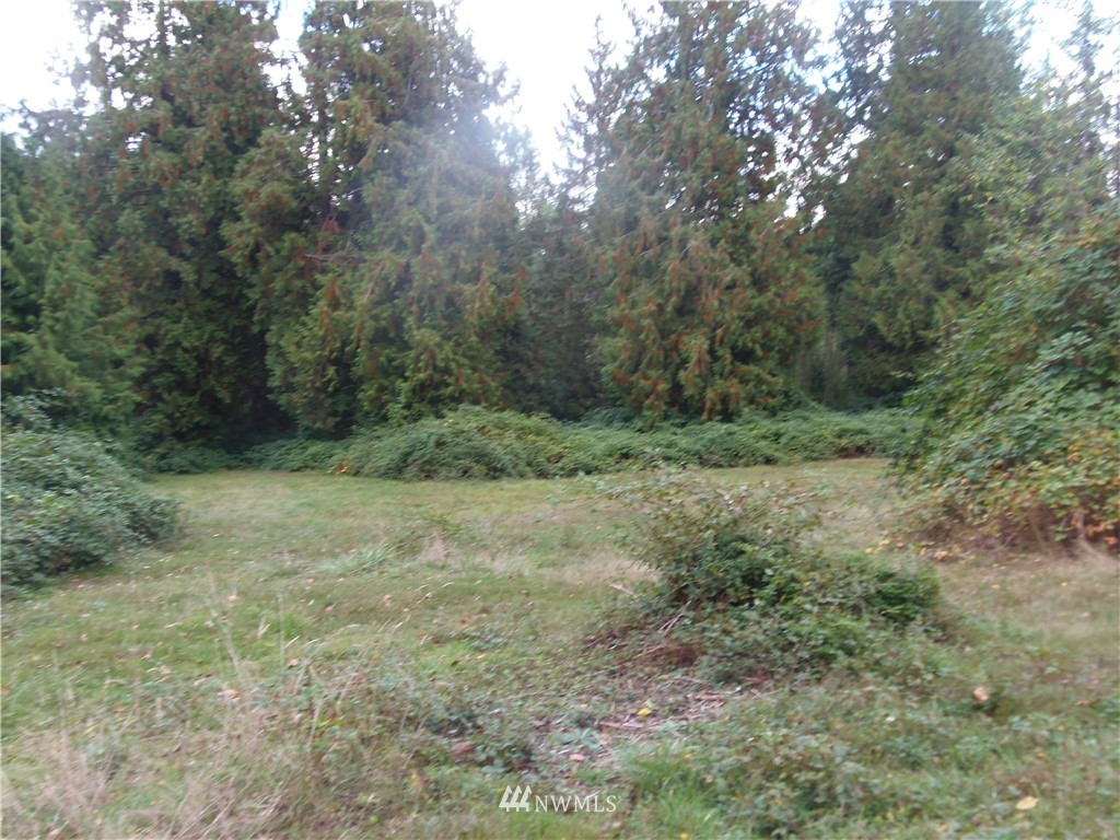 6820 Mero Road Snohomish, WA 98290 - Photo 17 of 19 Gallery Image 17