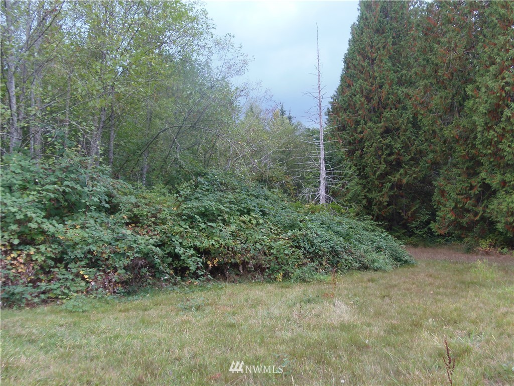 6820 Mero Road Snohomish, WA 98290 - Photo 18 of 19 Gallery Image 18