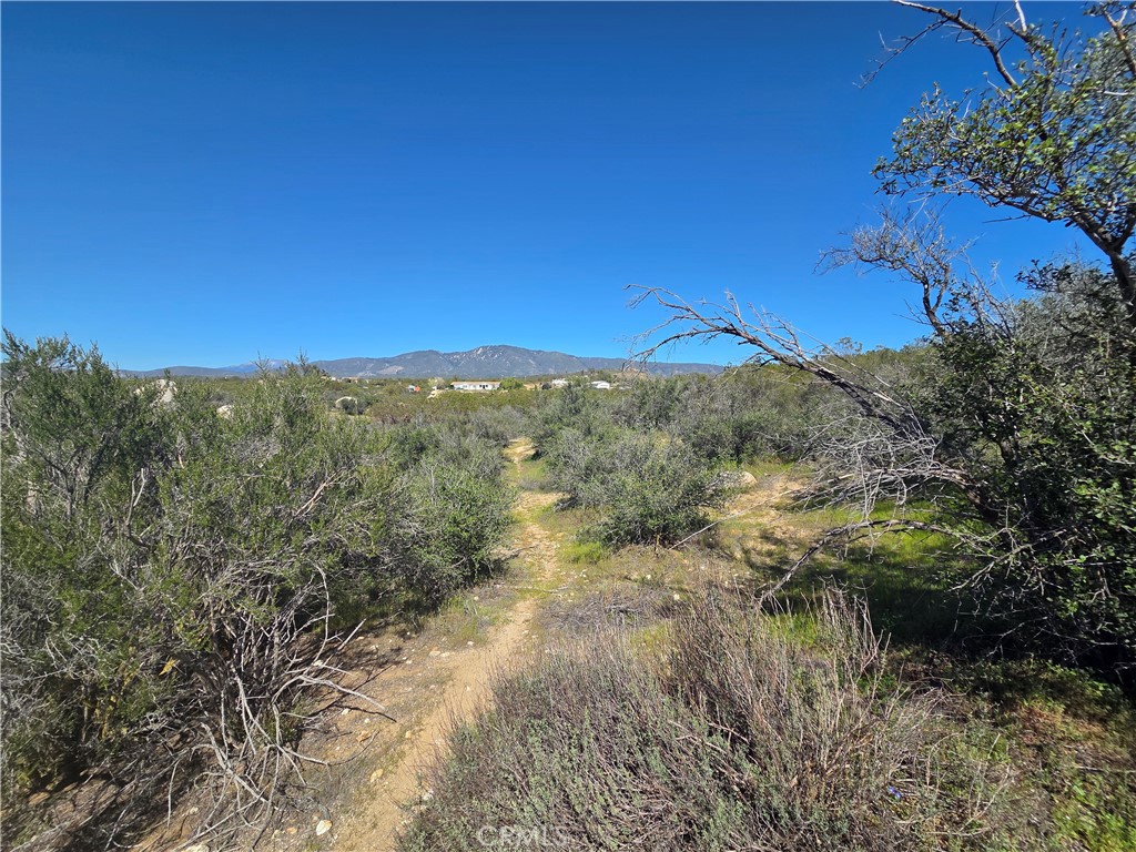0 Pony Trail Road Anza, CA 92539 - Photo 12 of 14 a view of a yard