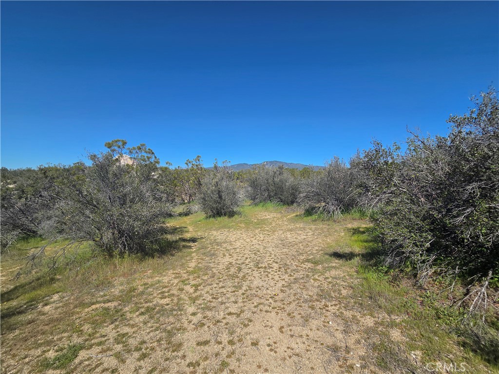 0 Pony Trail Road Anza, CA 92539 - Photo 13 of 14 a view of lake with green space
