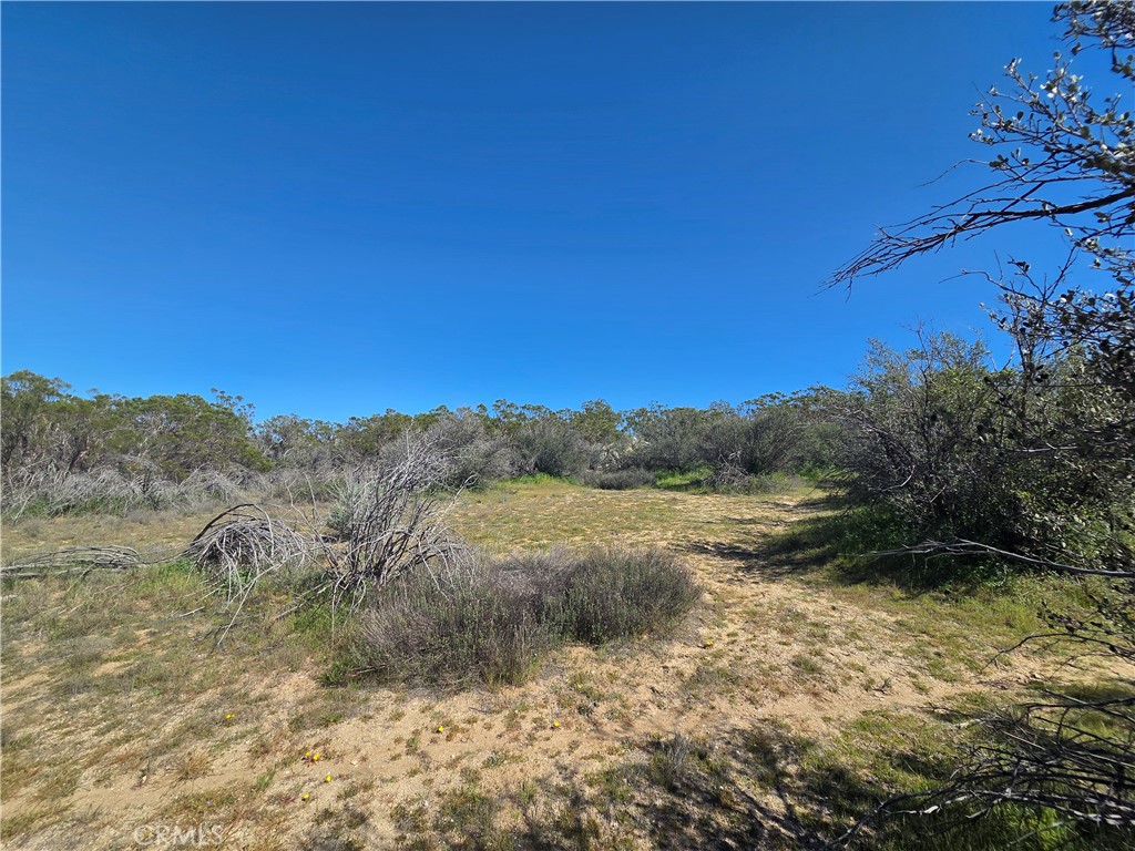 0 Pony Trail Road Anza, CA 92539 - Photo 5 of 14 a view of lake with mountain
