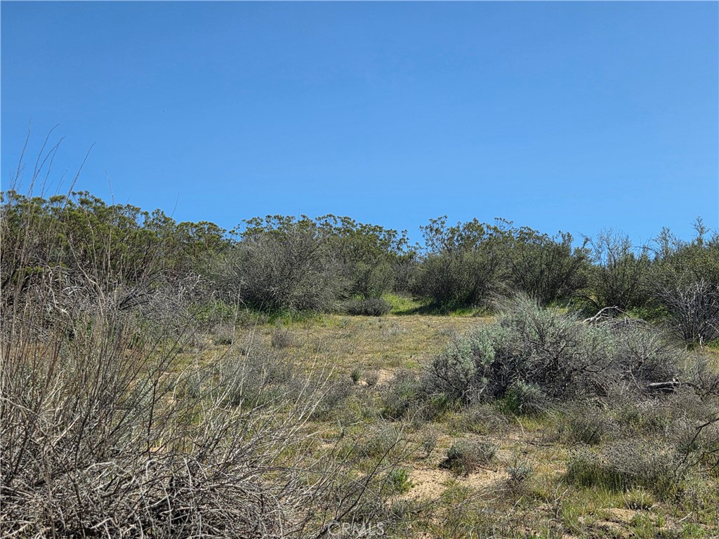 0 Pony Trail Road Anza, CA 92539 - Photo 6 of 14 a view of a field with trees in background