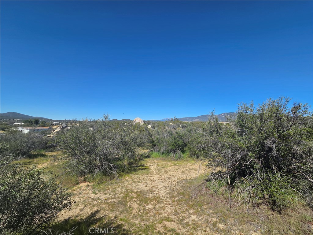 0 Pony Trail Road Anza, CA 92539 - Photo 7 of 14 a view of a yard