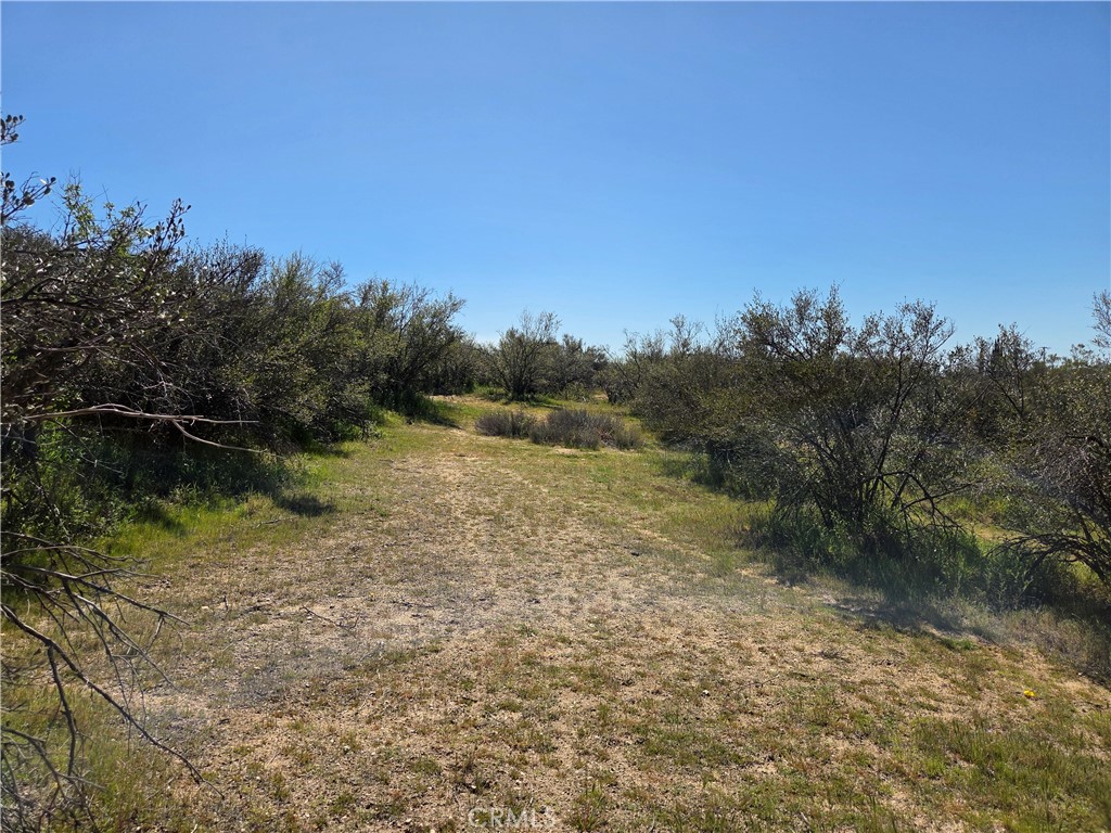 0 Pony Trail Road Anza, CA 92539 - Photo 9 of 14 a view of lake with green space