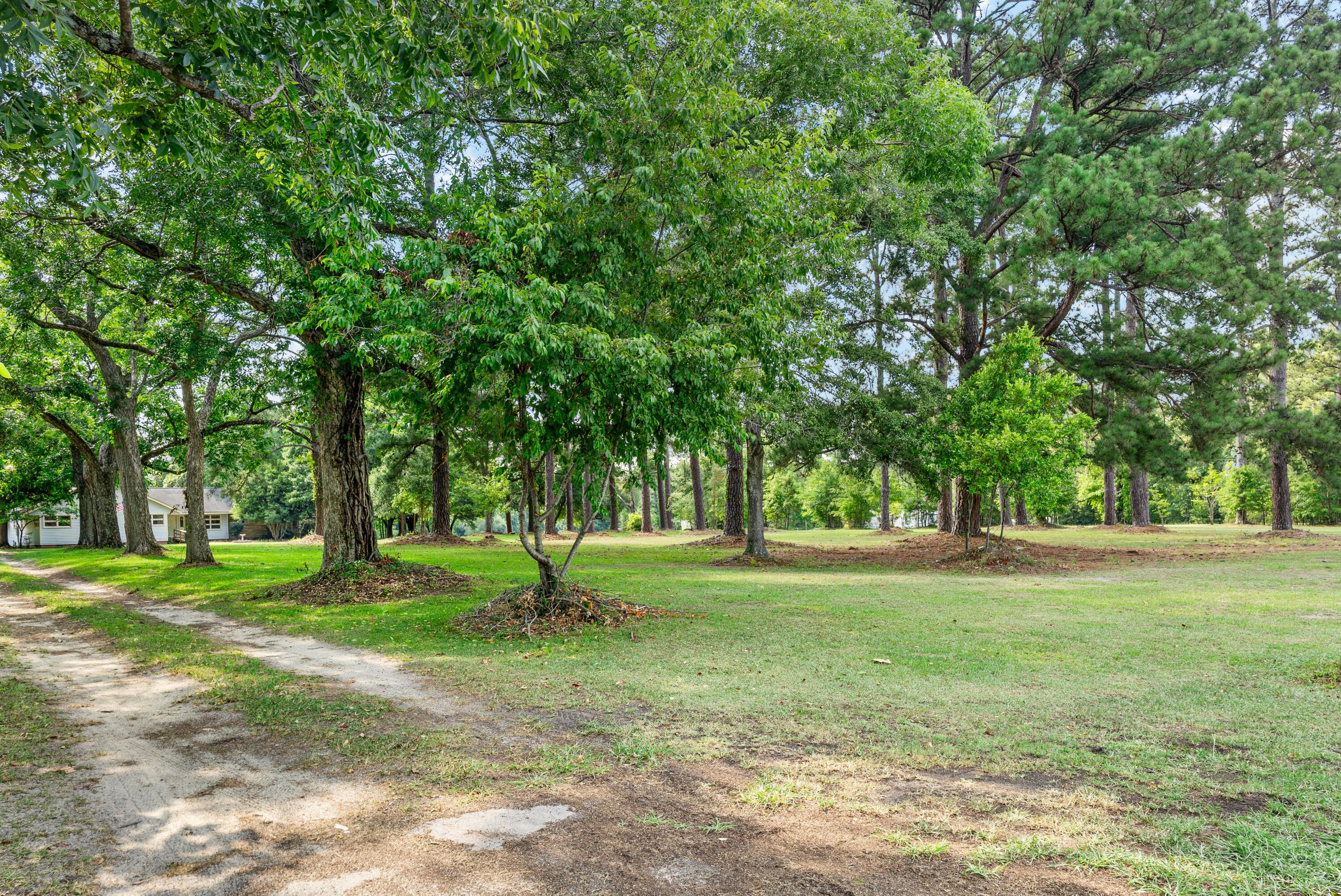 3022 Cordova Road Cordova, SC 29039 - Photo 5 of 35 DSC03007