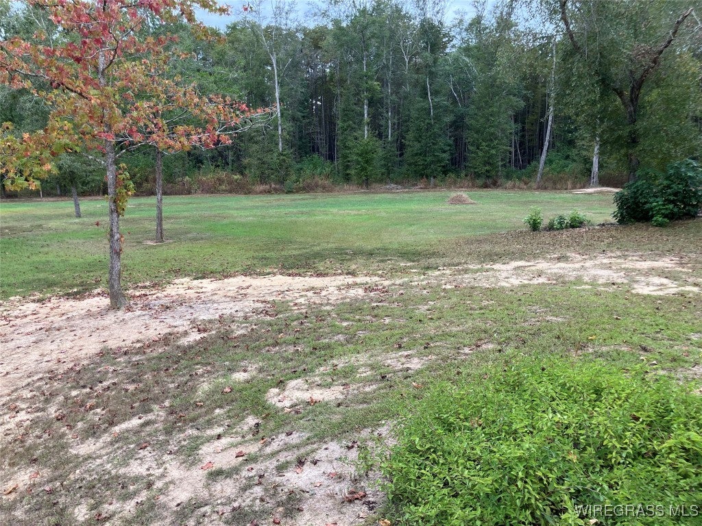 6417 L&b Ranch Road Florala, AL 36442 - Photo 23 of 35 Gallery Image 23