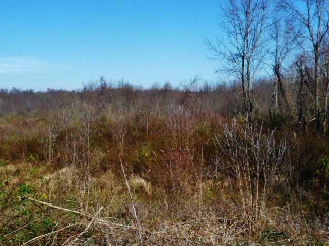 6784 Concord Road Alexandria, OH 43001 - Photo 11 of 11 Gallery Image 11