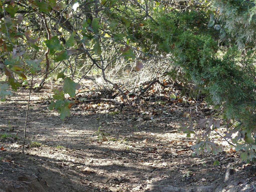 1746 Dog Kennel Road Sunset, TX 76270 - Photo 5 of 29 View of nature