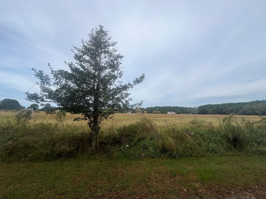 - Seaside Circle, Unit 28A Parksley, VA 23421 - Photo 4 of 26