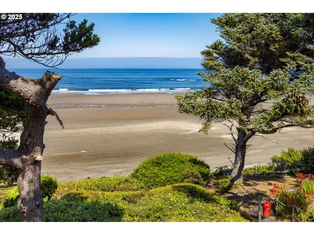 a view interior of a house with wooden floor
