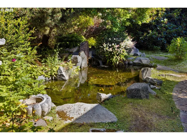 a view of a yard with an ocean