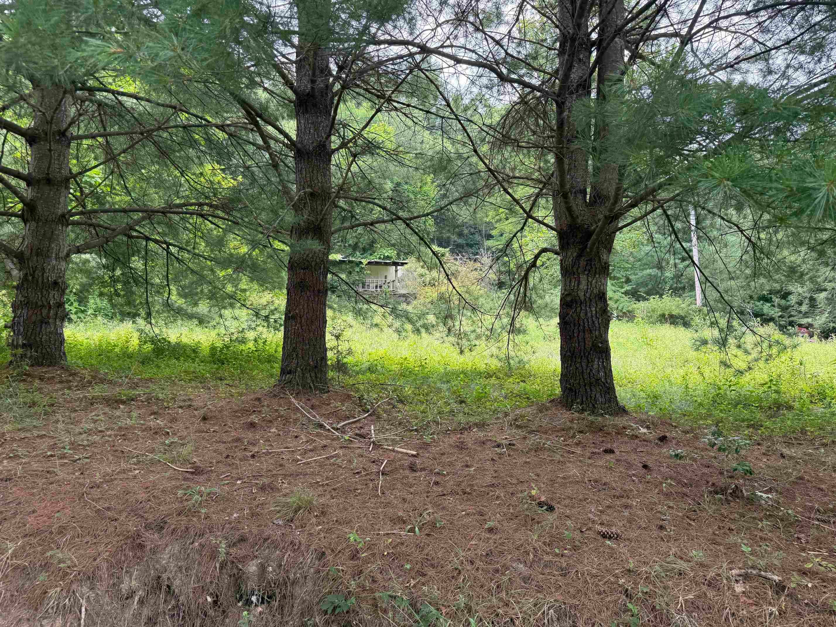 1485 Price Ridge Road Bland, VA 24315 - Photo 62 of 87 Gallery Image 62