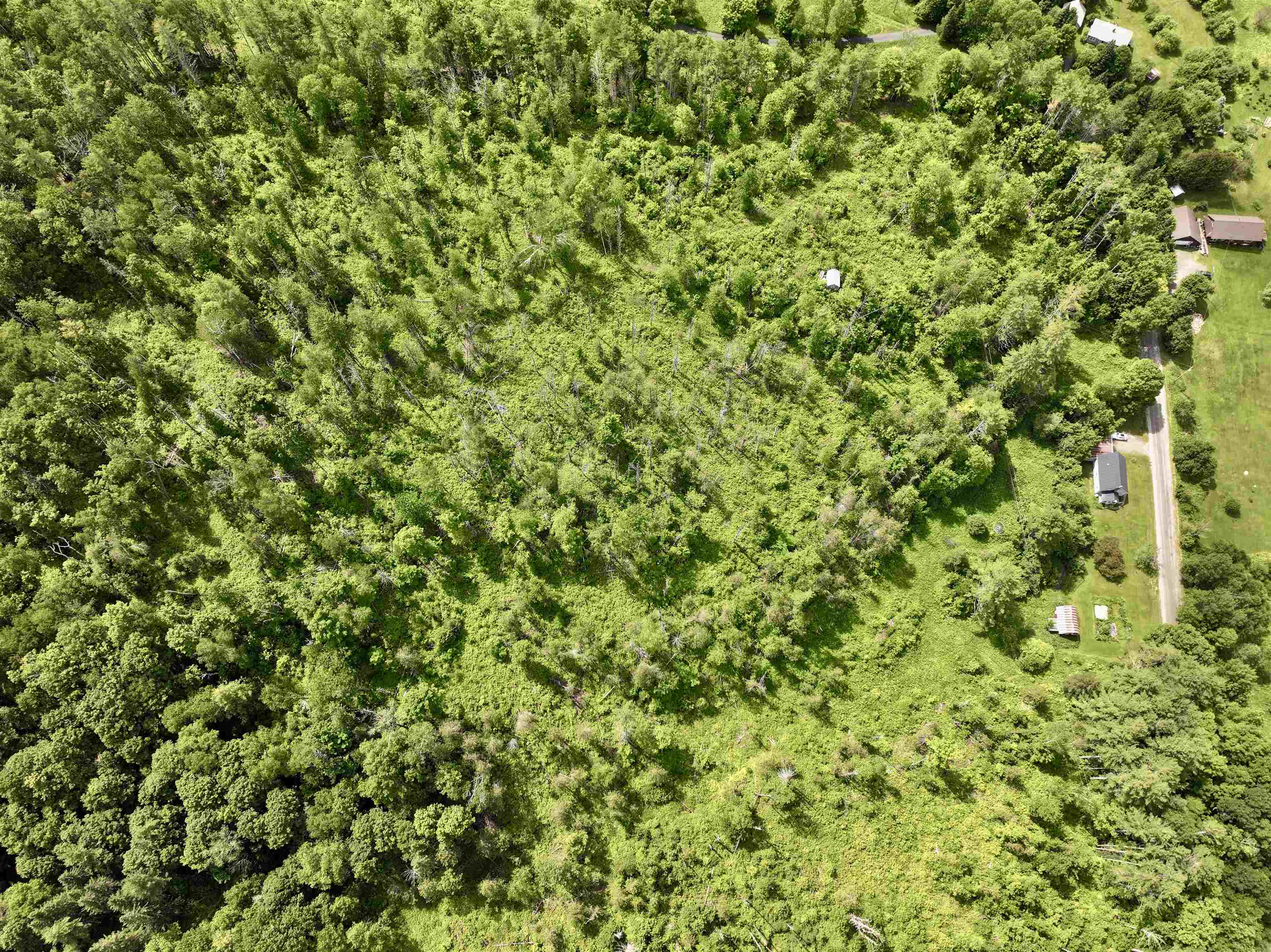 1723 Lightening Ridge Road Calais, VT 05667 - Photo 48 of 56