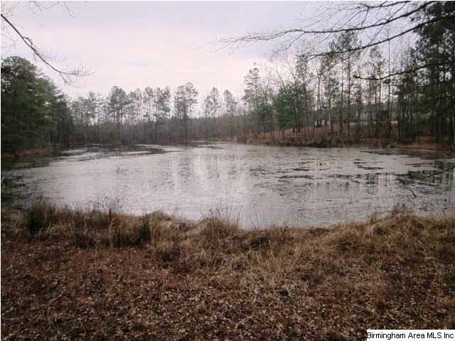 48 Highway, Unit 36 Lineville, AL 36266 - Photo 1 of 7