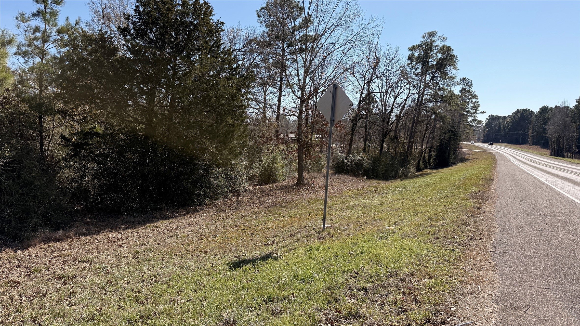 0 State Highway Point Blank, TX 77364 - Photo 3 of 6 a backyard of a house with lots of green space